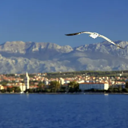 Appartement Luce Mala One Bedroom Zadar